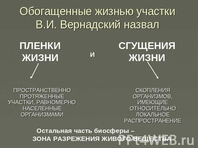 Пленки жизни по Вернадскому. Пленка жизни Вернадский. Пленки сгущения жизни по Вернадскому. Сгущение жизни на суше. Условия жизни на земле 9 класс презентация