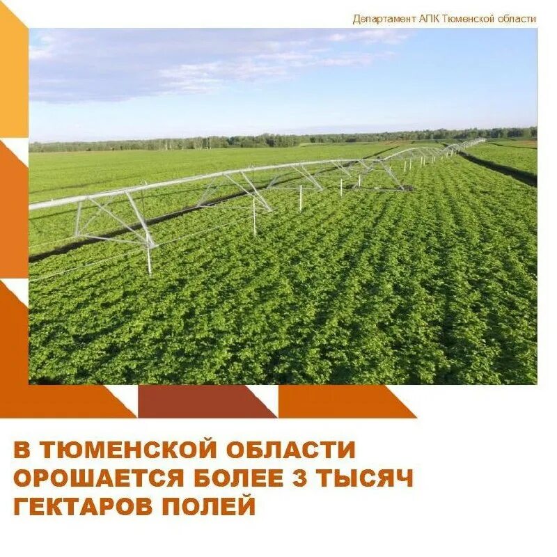 Апк тюменской области. Ниисх северного зауралья тюмень. Апк тюменской области. Агропромышленный комплекс тюменской области. Департамент апк тюменской области официальный сайт.