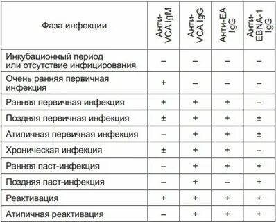 Ат к капсидному белку что это