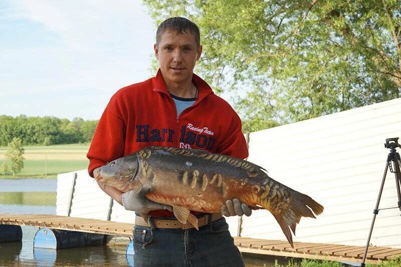 Ловли воронеж. Золотой Карп база отдыха Воронеж. Рыбалка Воронеж 36 Черноземье. Рыбалка в Воронеже. Платная рыбалка в Воронеже.