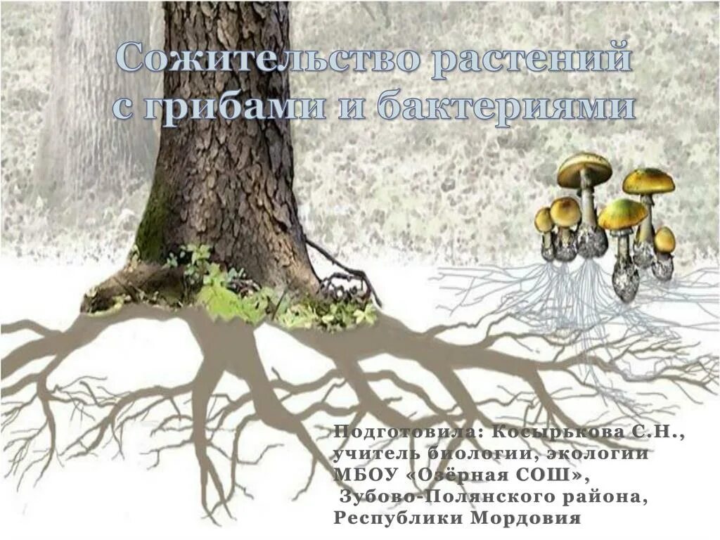 4 сынып жаратылыстану симбиоз деген не. Организмдер. Взаимоотношения животных. Симбиоз презентация. Симбиотические отношения в природе виды.