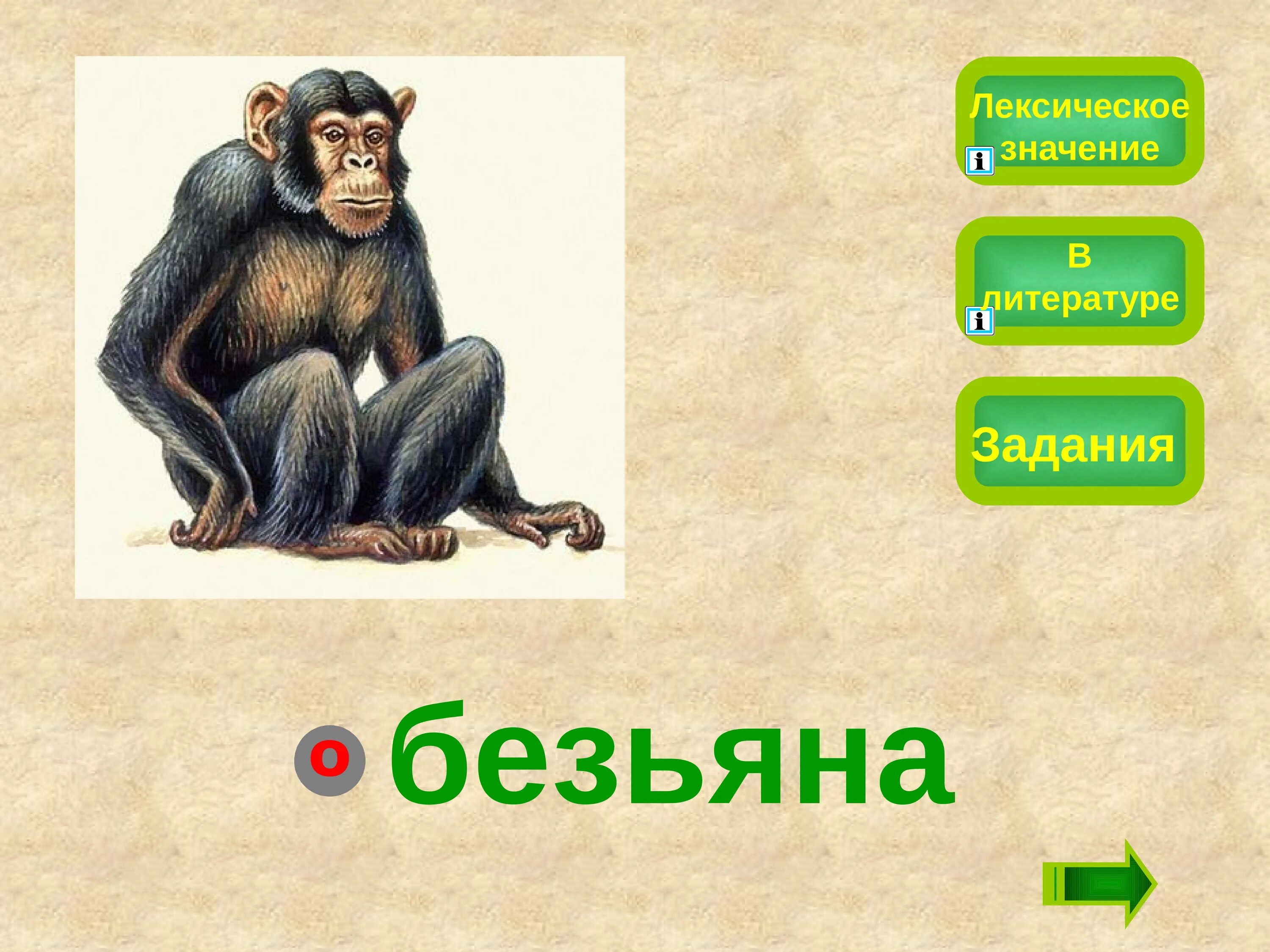 Тема текста про обезьянку. Предложение про обезьяну. Словарное слово обезьяна. Предложение со словом обезьяна. Словарное слово обезьяна в картинках.