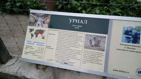 Билеты в зоопарк калининград