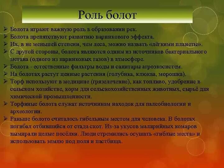 Функции болот. Роль болот в жизни человека. Роль болота в природе. Вывод о болоте. Экологическая роль болот.