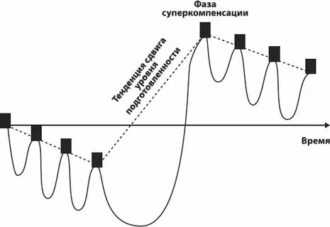 Физиологическая основа принципа суперкомпенсации