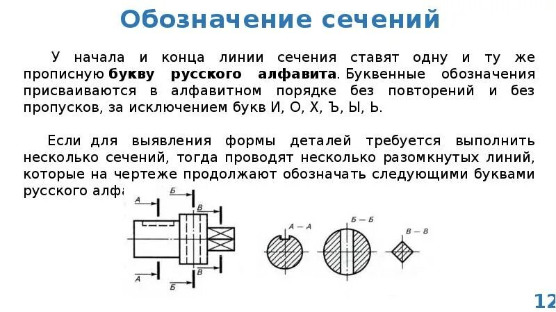 Сечение какими линиями