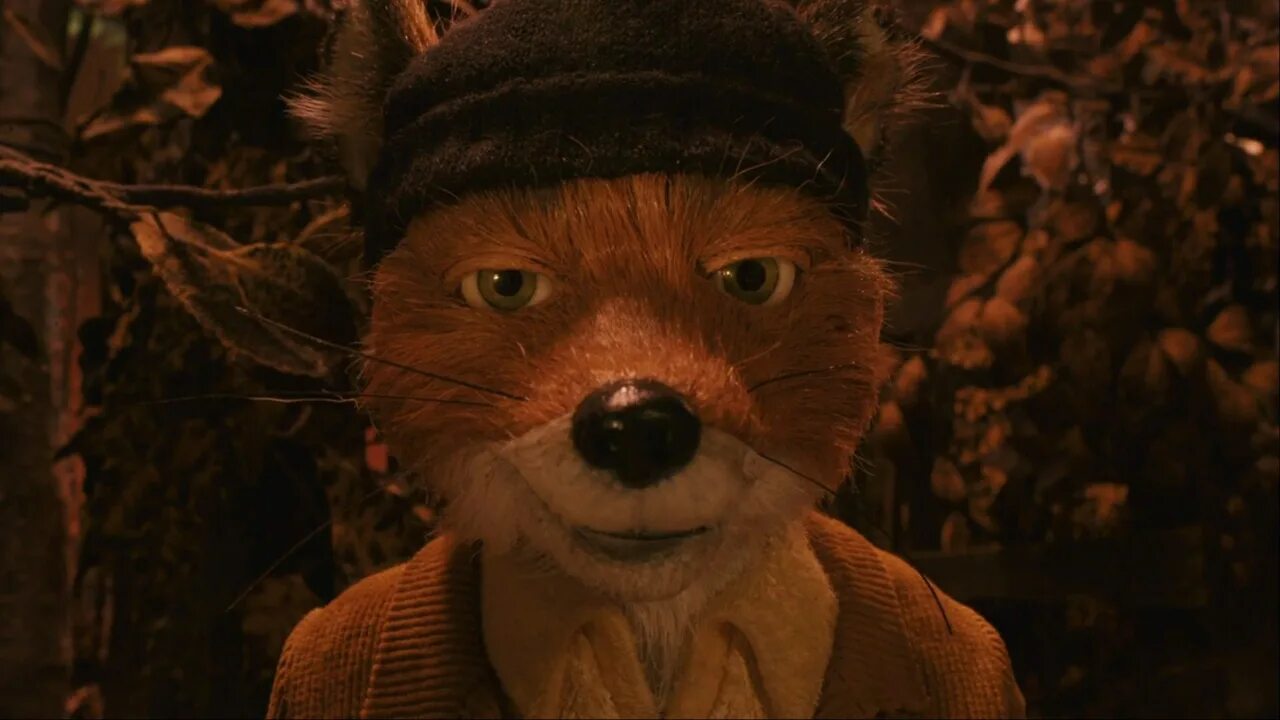 Бесподобный Мистер Фокс 2009. Бесподобный Мистер Фокс / fantastic Mr. Fox. Уэс Андерсон Мистер Фокс. Mister fox