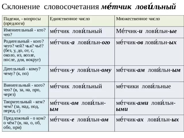 Просклонять словосочетание само произведение. Склонение словосочетаний. Склонение словосочетаний по падежам. Просклонять словосочетание. Склонять словосочетание.