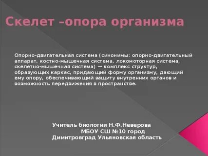 Вывод по скелету