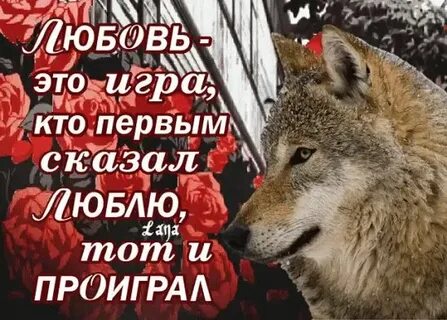 Сказал первым