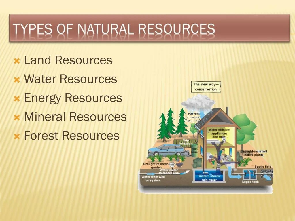 Many natural resources. Types of natural resources. Природные ресурсы на английском языке. Natural resources (Land). Природные ресурсы для детей.