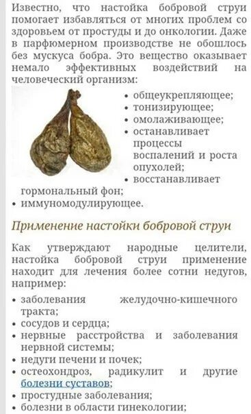 Как пить струю бобра
