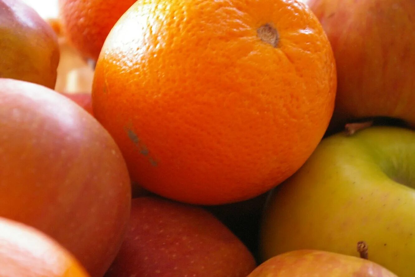 муляжи яблоко апельсин помидор. тарелка "апельсин". клементин фрукт. апельсин мандарин яблоко помидор. яблоки апельсины мандарины.