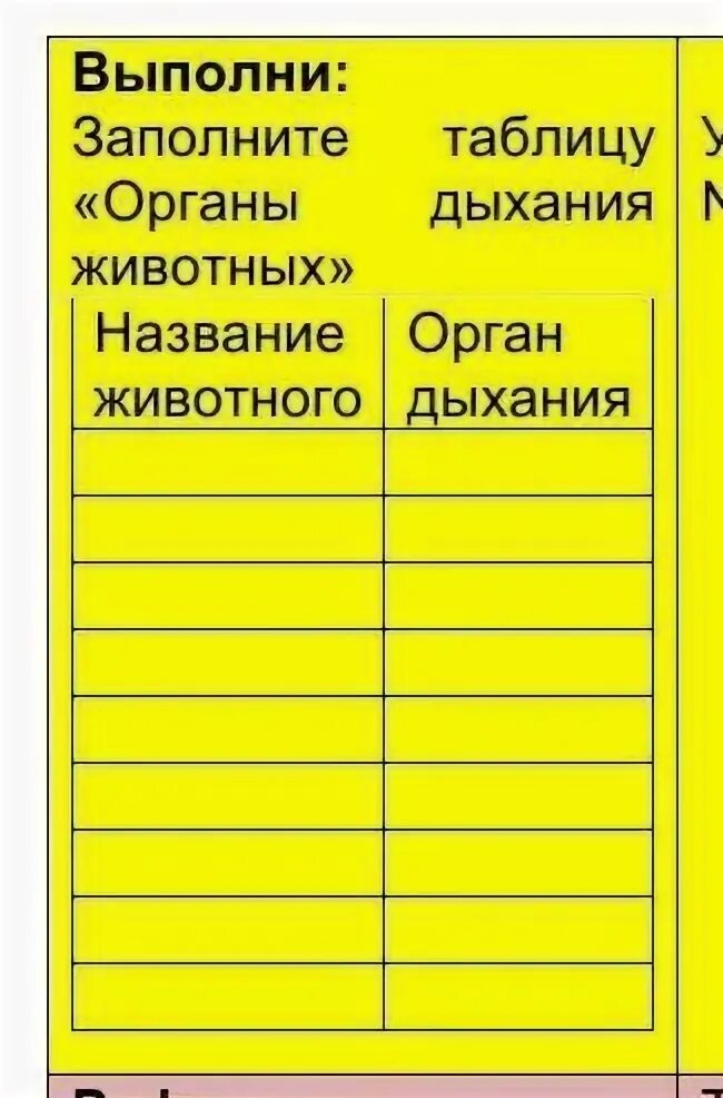 Заполните таблицу органы дыхания животных. Заполни таблицу органы дыхания животных. органы дыхания и названия животных таблица. 3. заполнить таблицу « органы речи».