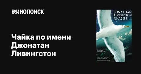 Какова идея текста чайка по имени джонатан