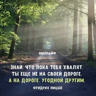 Источник мудрых мыслей 7
