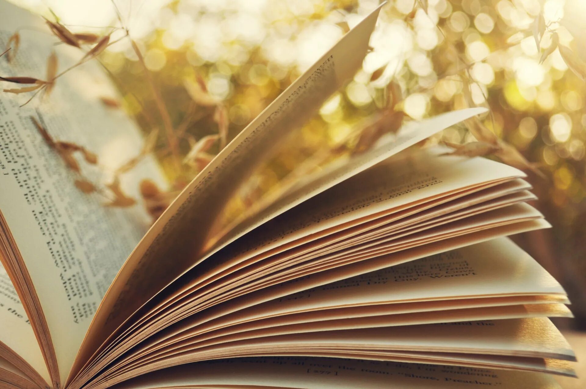 Страницы сайта книгой