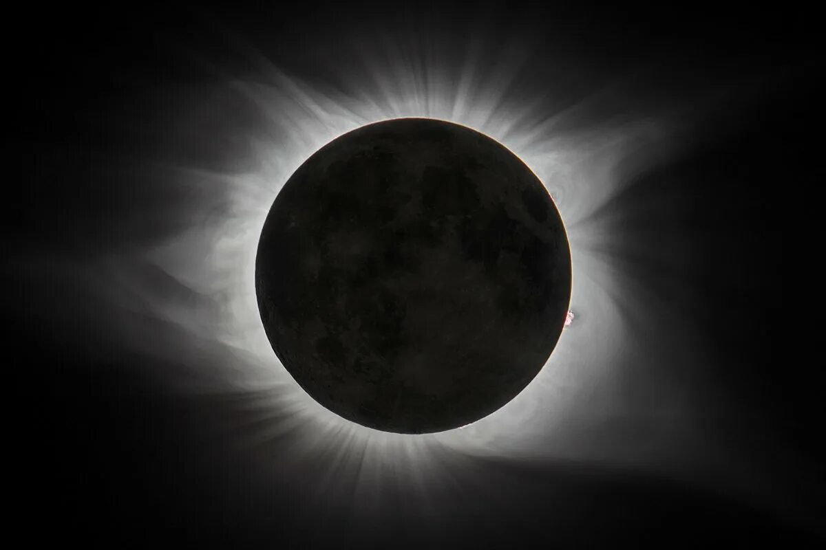 К чему снится затмение солнца. Solar Eclipse 2017. Солнечное затмение. Солнечное затмение арт. Солнечное затмение черно белое.