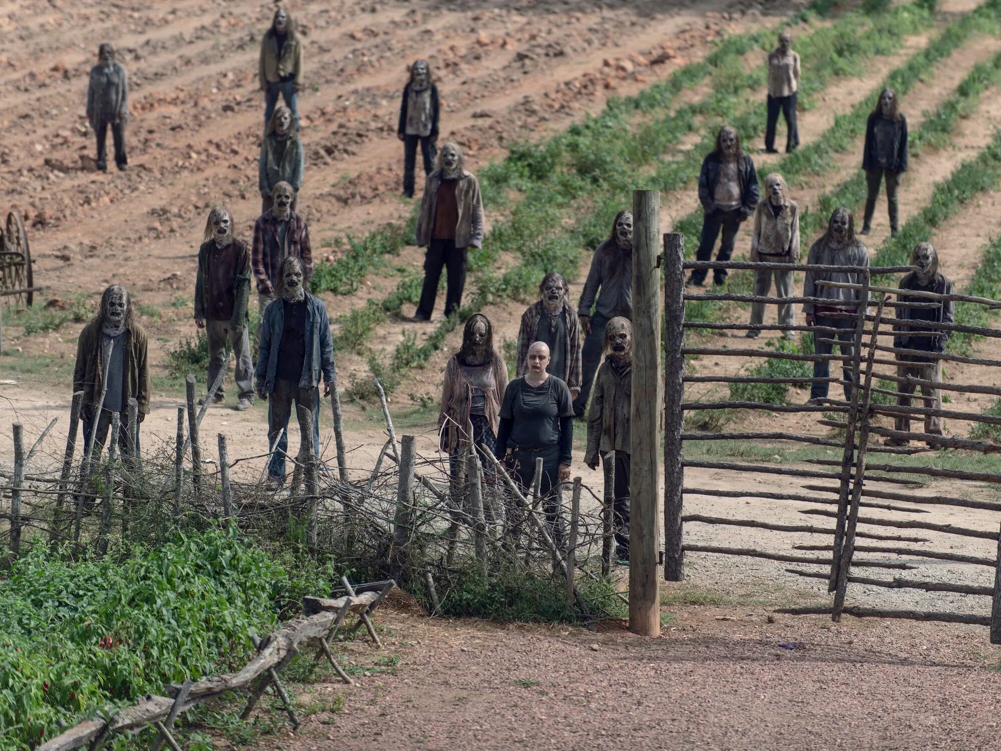 Walkers attack