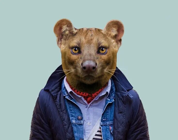 Как называются люди которые за животных. Yago partal zoo portraits. животные в одежде. звери в одежде. портреты животных в одежде.