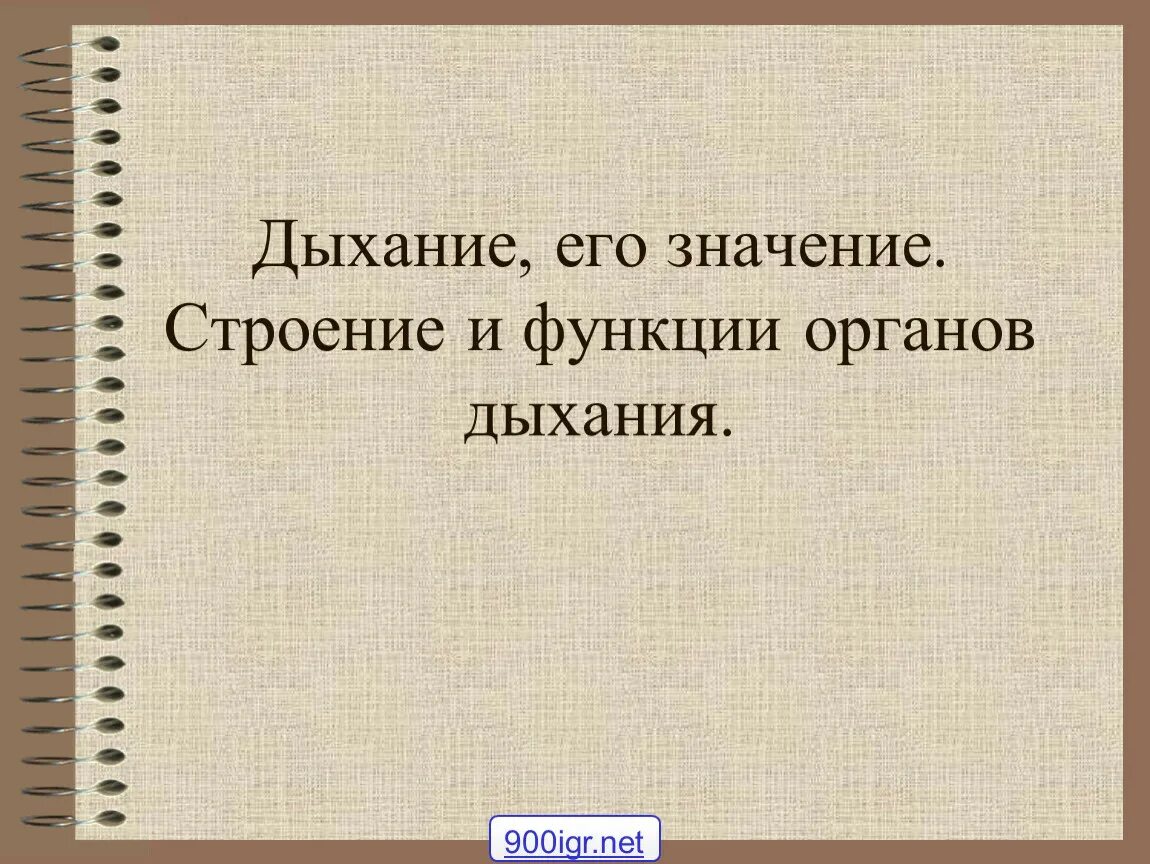 Строение и функции органов дыхания. Дыхательные движения схема вдох выдох. Влияние наркотиков на дыхательную систему. Механизм дыхательных движений вдоха и выдоха. Дыхания 8 класс биология.