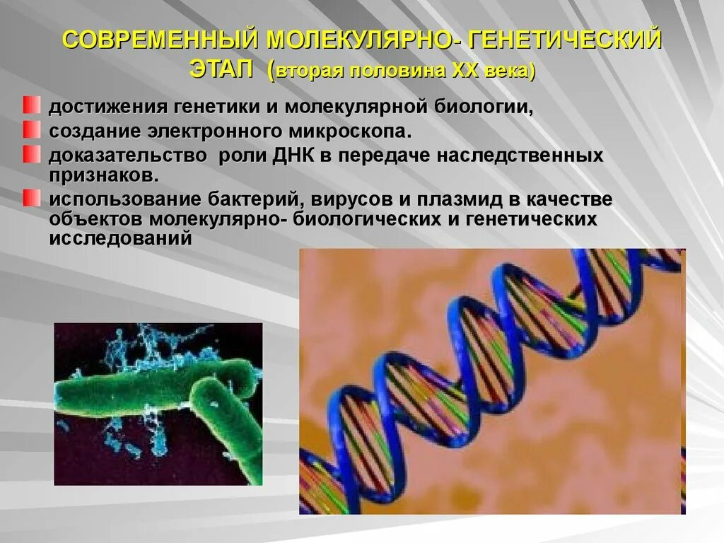 Достижения молекулярной биологии. Достижения современной генетики. Методы молекулярной биологии. Методы изучения генетики человека молекулярно-генетический.