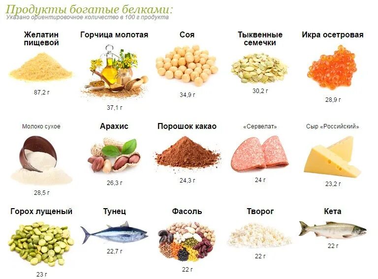 Лучшие источники белков. Продукты с высоким содержанием белка. Продукты с высочайшим содержанием белка. Продукты с высркимсодерданием белка. Продукты содержащие большое количество белка.