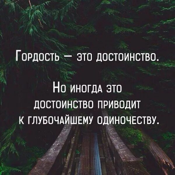 Охватывает гордость. Афоризмы про гордость. статусы про гордость. гордые люди цитаты. цитаты про гордость.