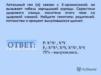 Летальные гены