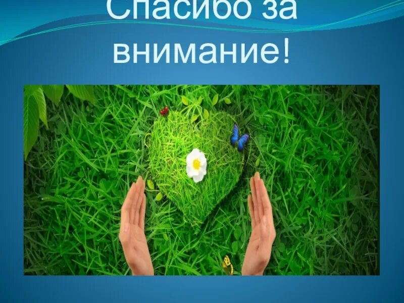 Бережно отношение к природе. Бережно относиться к природе. Спасибо за внимание природа. Благодарность природе. Написать о бережном отношении к природе