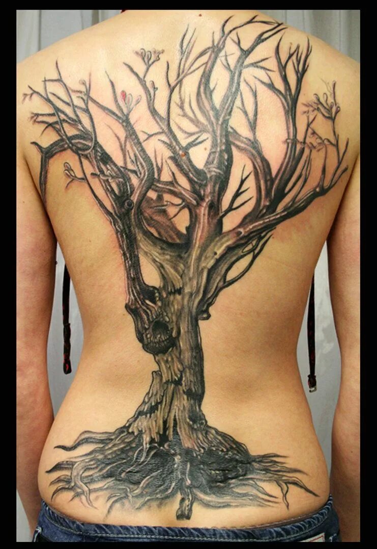 Липа дерево корни. Тату дерево. Тату в виде дерева. Тату дерево с корнями. Тату дерево на спине.