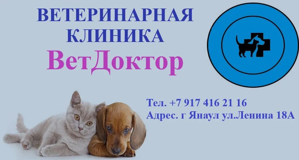 Государственная ветеринарная клиника телефон и адрес