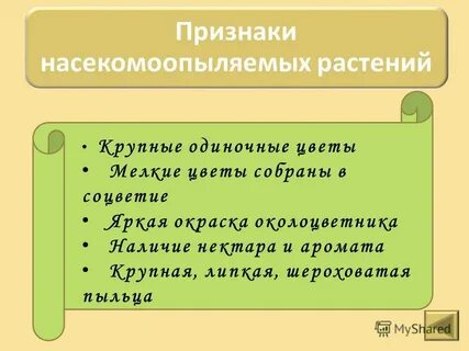 Насекомоопыляемые растения признаки