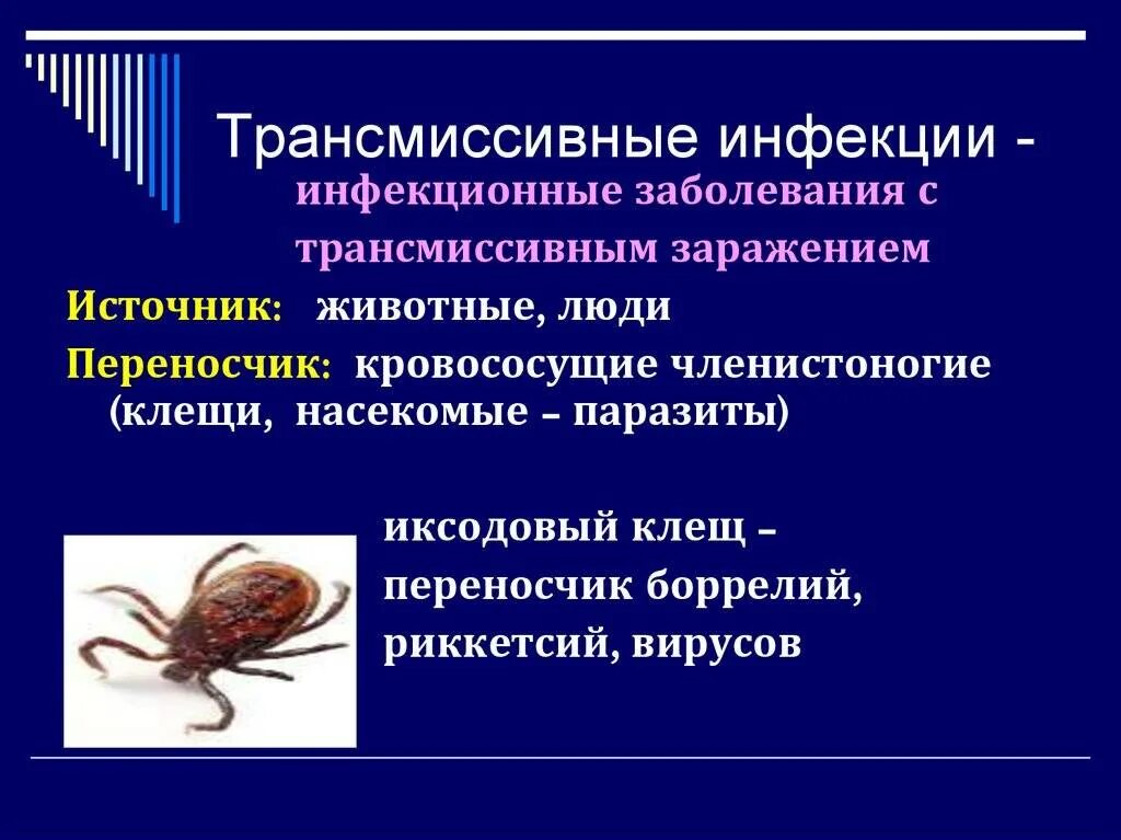 Возбудитель передается через укусы насекомых. Трансмиссивный переносчик возбудителей заболеваний. Трансмиссивным путем передачи инфекционные заболевания. Трансмиссивный механизм инфекции. Клещ трансмиссивные переносчики.