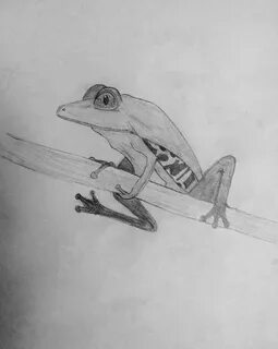 Минимальные рисунки