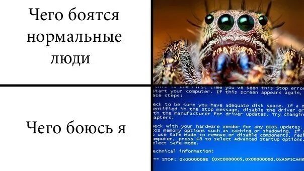Страх это нормально. Детские страхи в норме и патологии. Страх высказывания афоризмы. Бояться это нормально. Афоризмы про страх.