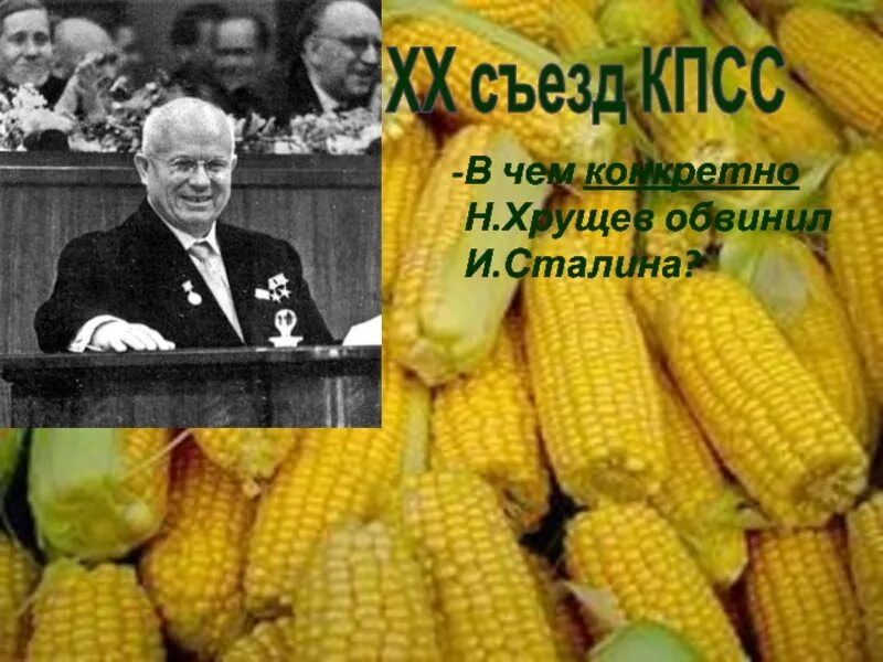 В чем обвинили хрущева. В чем Хрущев обвинил Сталина. В чём Хрущёв обвинил Сталина.