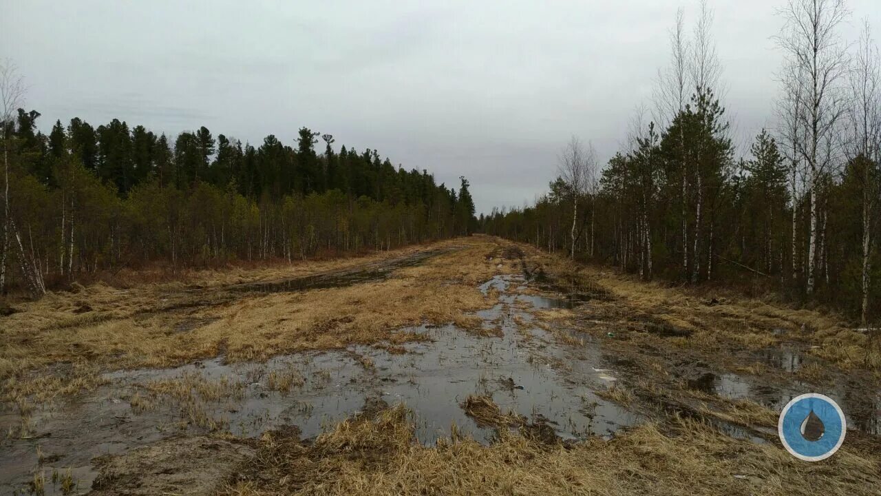 пальяновское месторождение хмао. газпром якутия чаяндинское месторождение. пальяновское месторождение нефти. пальяновская площадь красноленинского месторождения. ново пальяновское месторождение вакансии.