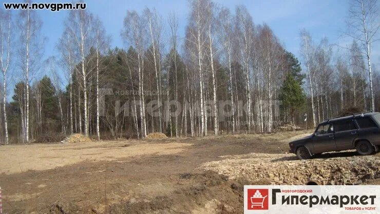 Деревня шевелево новгородская область. Губарево новгородский. Губарево новгородский. Деревня губарево. Губарево новгородский.
