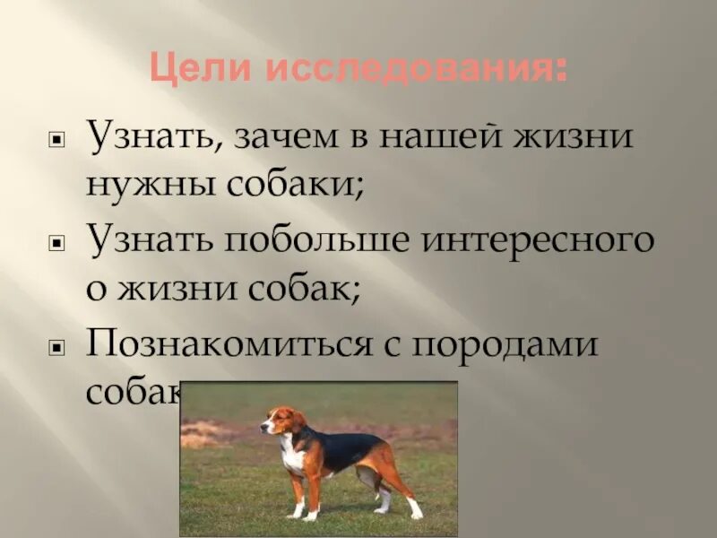 Жизнь собак текст. Зачем нужны собаки. Цель собака друг человека. Для чего нужны собаки людям. Зачем нужна собака человеку.