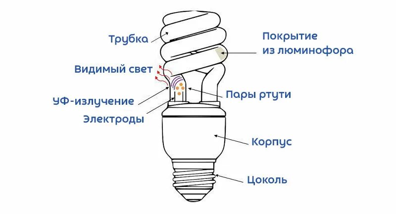 Энергосберегающая лампа рисунок. Строение люминесцентной лампы схема. Схема энергосберегающей лампы. Энергосберегающая лампочка принцип работы. Люминесцентная лампа строение рисунок.