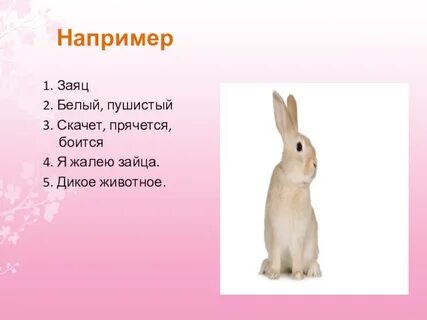 Текст про зайца 5 класс
