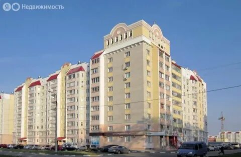Картукова орел