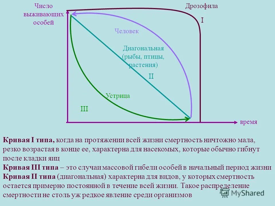Кокогочисла ореховый спас. Ореховый и хлебный спас. Поздравления с днём яблочного спаса. Спасы в 2023 году какого числа. Спасалось число.