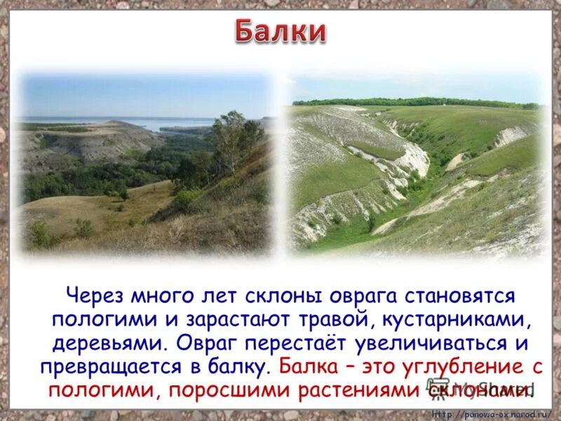 Найдите слово со значением холм горка. Балка это углубление с пологими поросшими растениями склонами. Балка овраг. Балка рельеф. Углубление с пологими поросшими растениями склонами это.