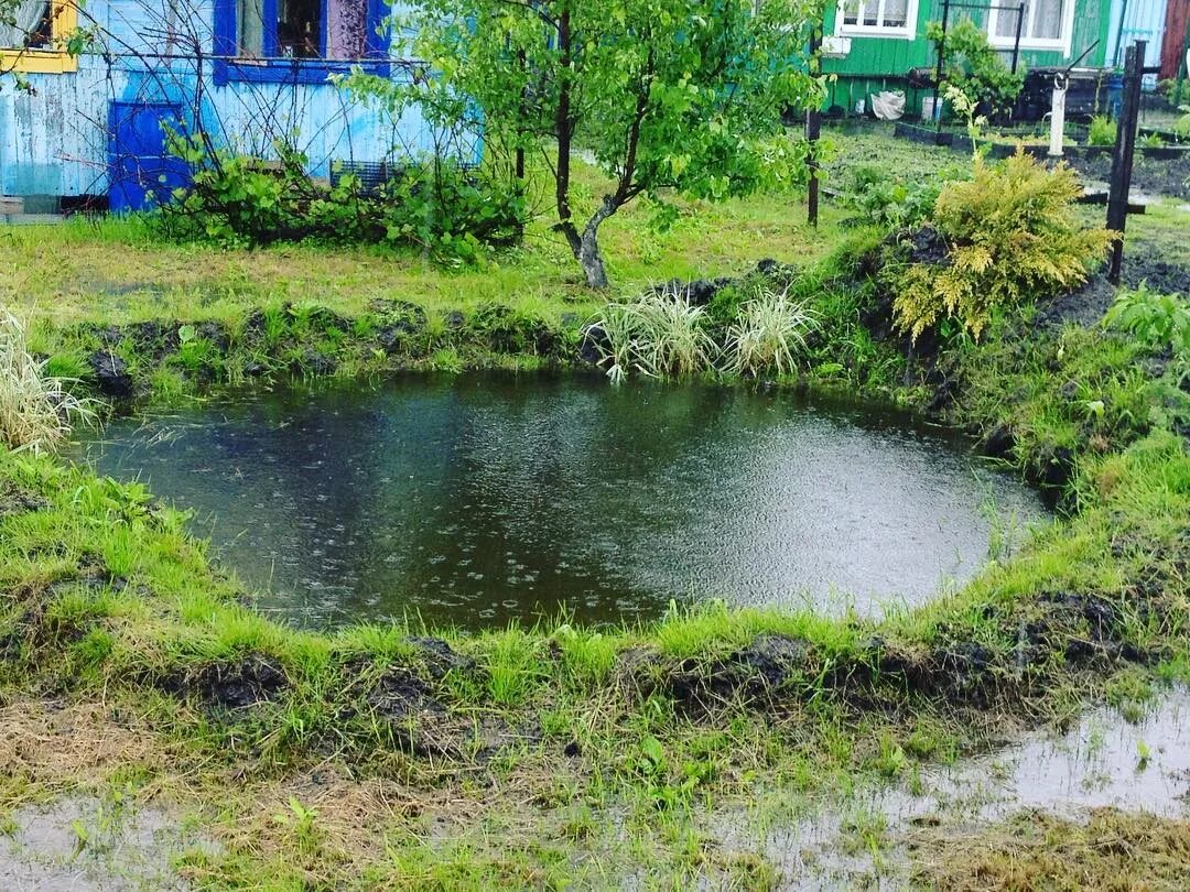 Пруд для рыбы на участке своими руками. Алатырь. Прудик. Озеро копанка в Краснодаре. Пруд копанка. Водоем на участке.