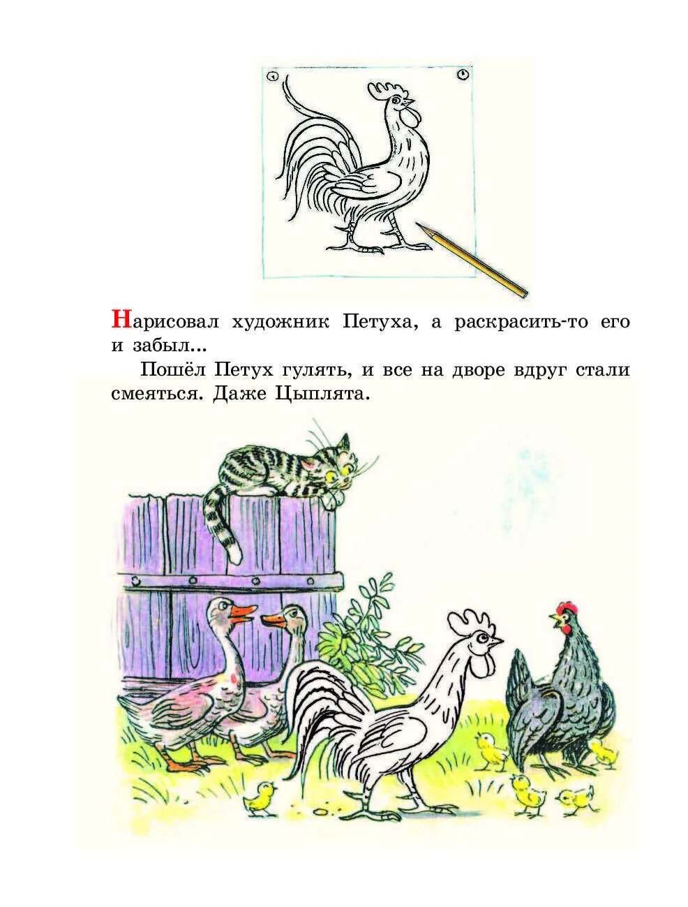 Краткое пересказ петух. В.Сутеев петух и краски. Сутеев в. г. "петух и краски". Сутеев петух и краски иллюстрации.