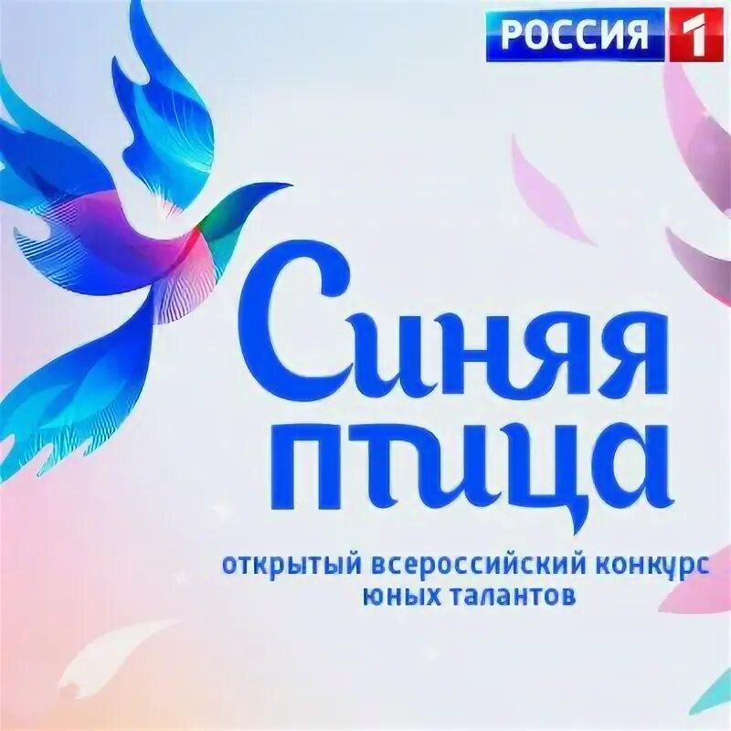 Синяя птица ведущая. Синяя птица 13. Синяя птица 13. Синяя птица участники 2022. Синяя птица 13.