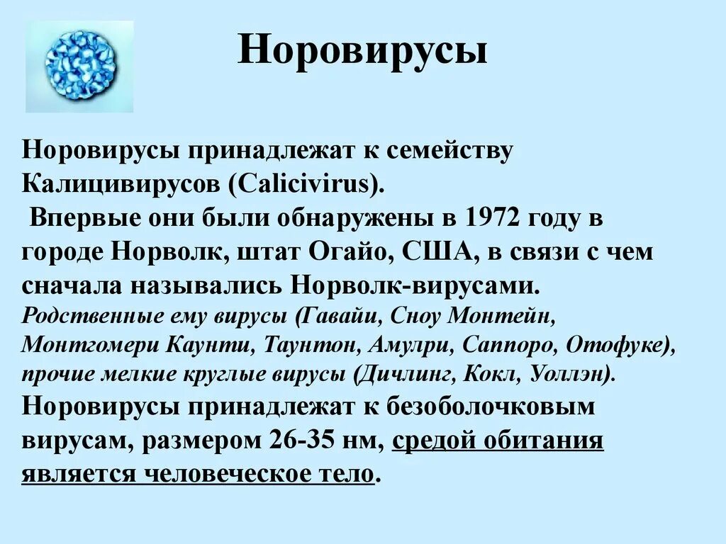 Норовирус 2 генотип