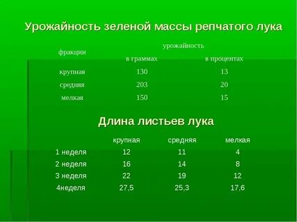 Сколько жира в луке